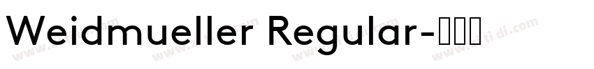 Weidmueller Regular字体转换